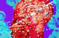 Joseph Pancrazio Wins Key State Grant to Study Alzheimer’s Disease